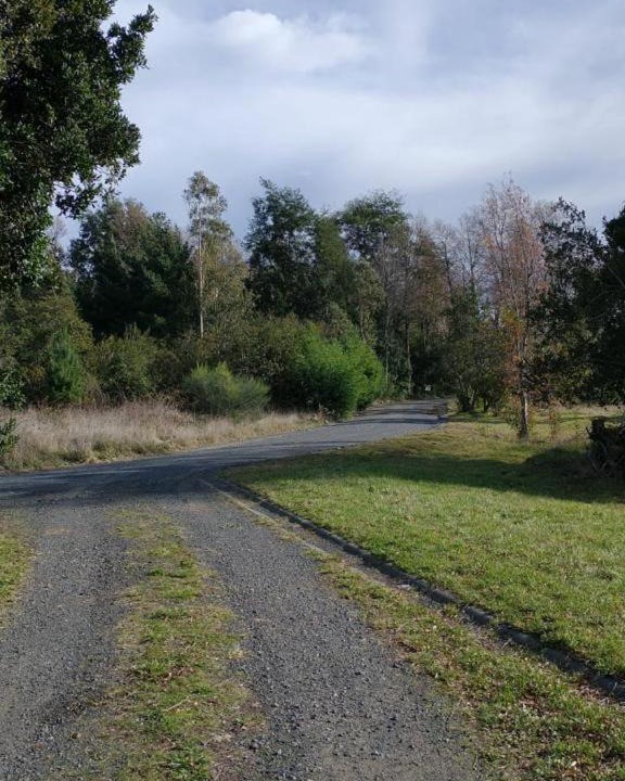 Photo of Outdoor in Pucon