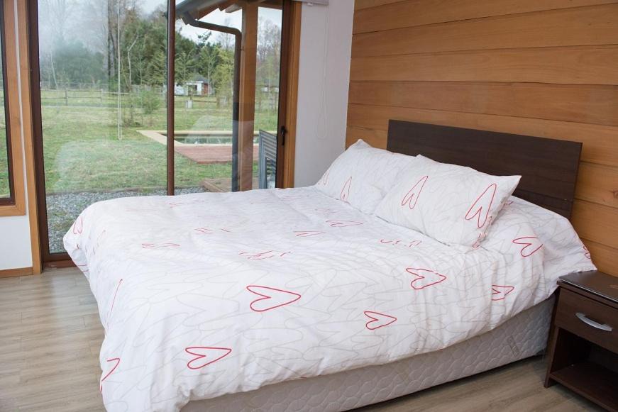 Photo of Bedroom in Pucon