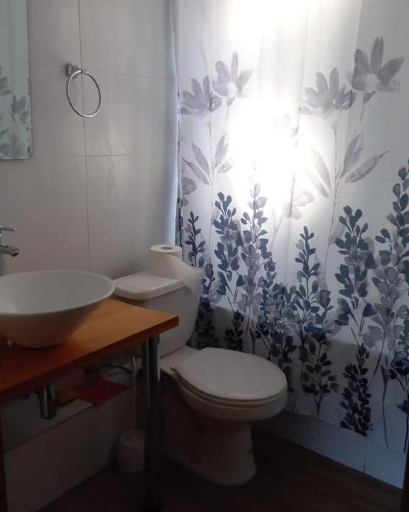 Photo of Bathroom in Pucon