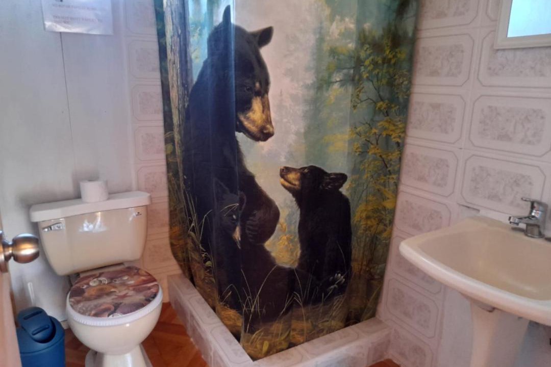 Photo of Bathroom in Hornopiren National Park