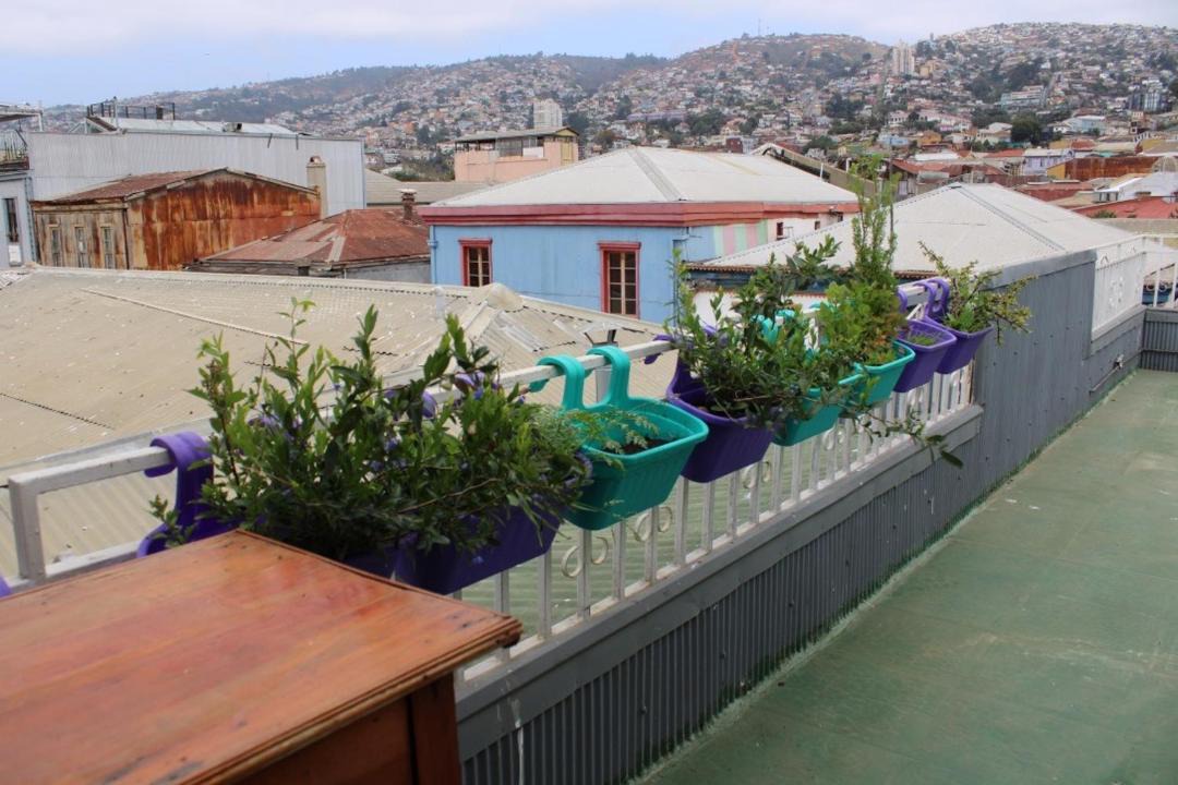 Photo of Others in Cerro Concepcion