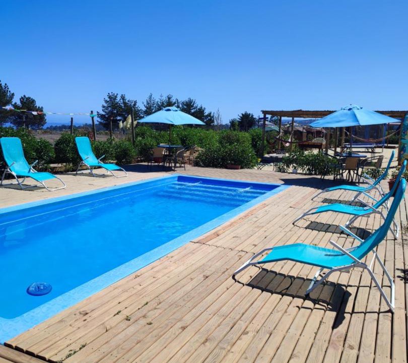 Photo of Others in Algarrobo