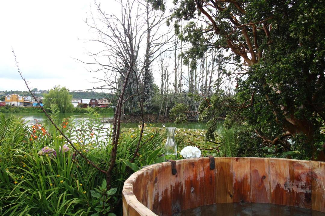 Photo of Others in Llanquihue