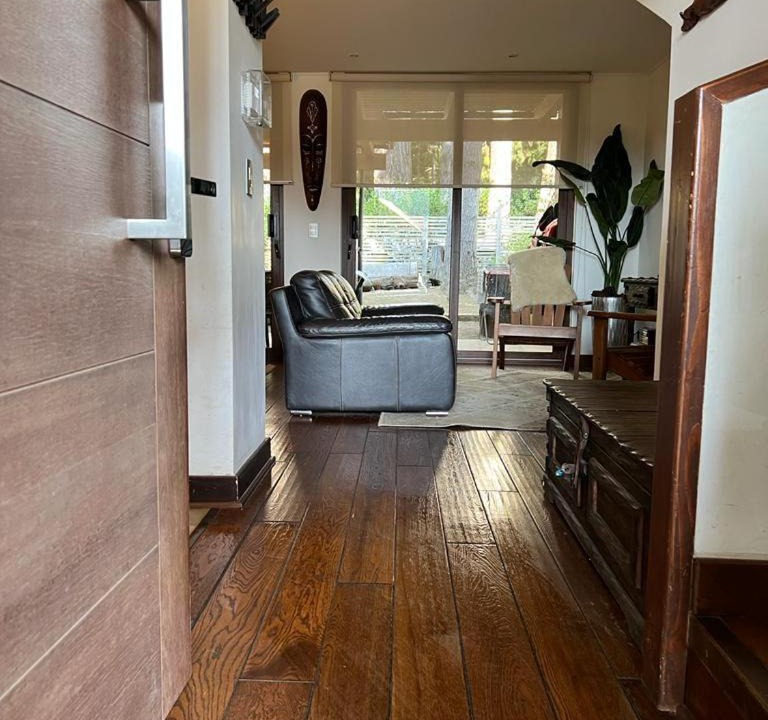Photo of Livingroom in Pucon