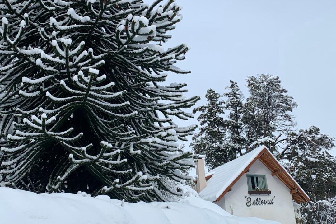 Photo of Others in Llao Llao