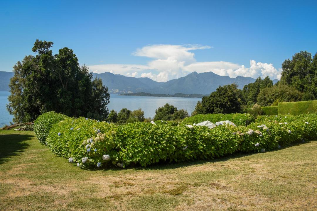 Photo of Others in Pucon