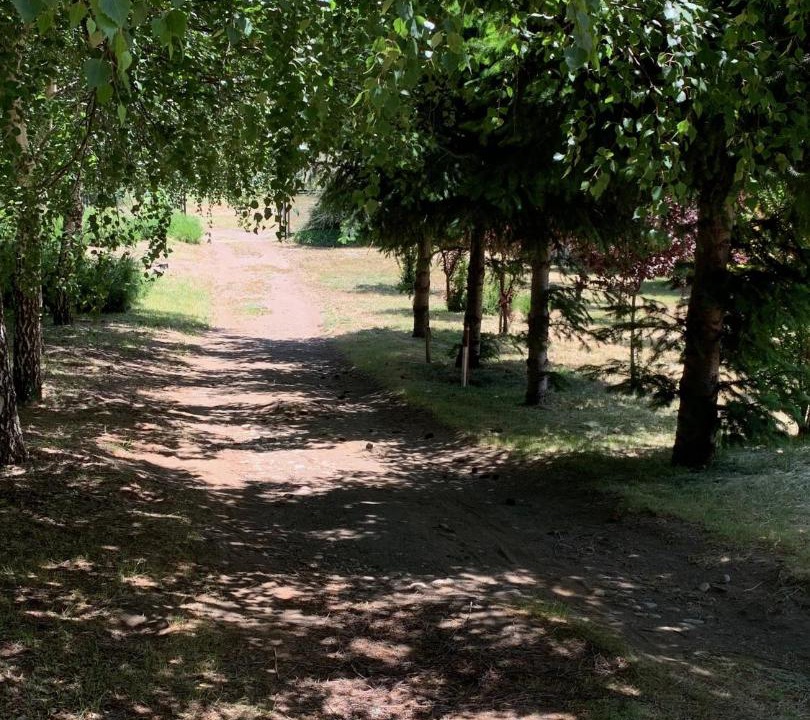 Photo of Others in Junin de los Andes
