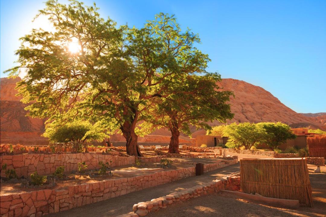 Photo of Others in San Pedro de Atacama
