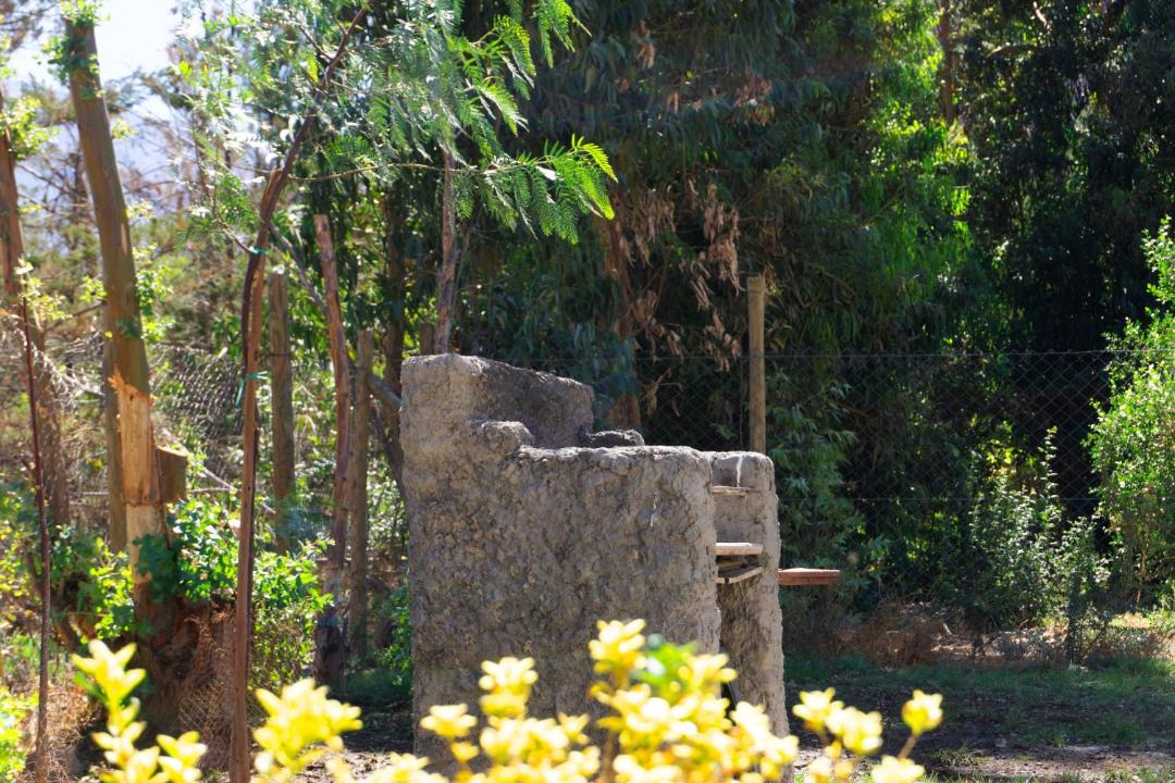 Photo of Others in Melocoton