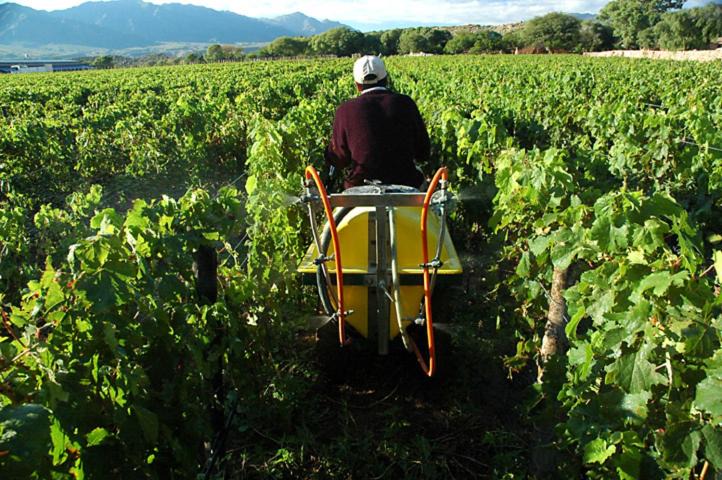 Photo of Others in Molinos