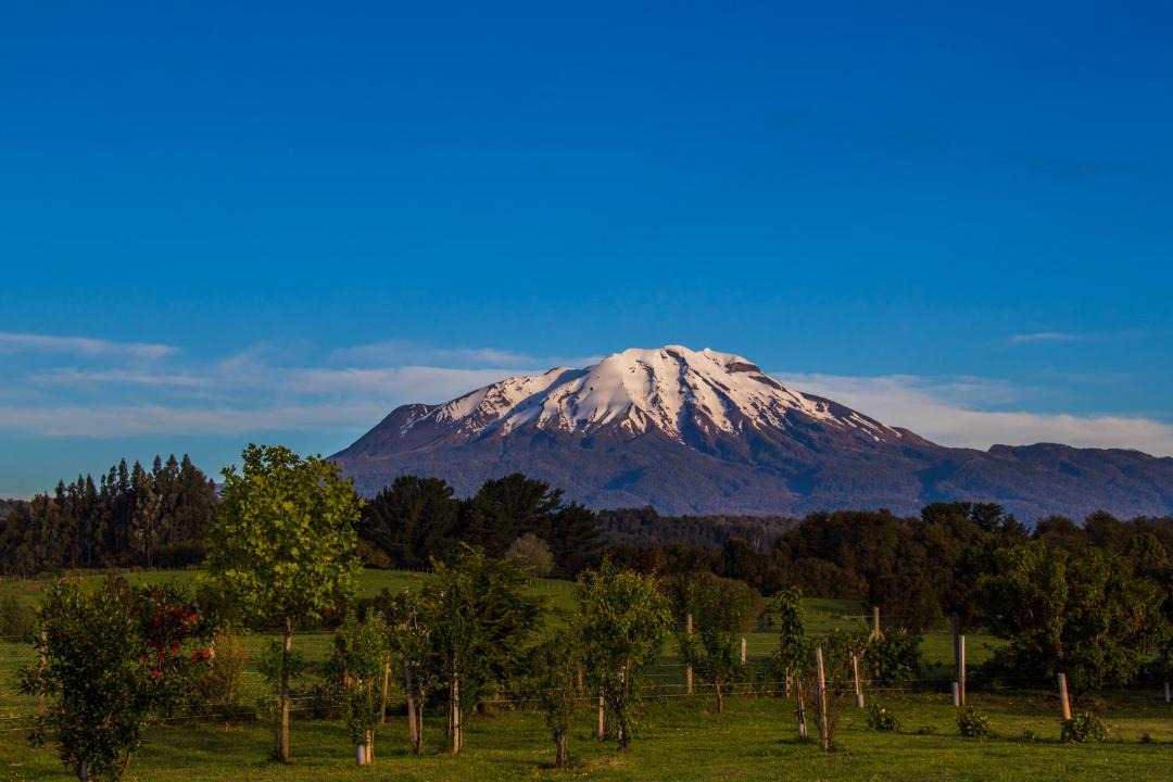 Photo of Others in Puerto Varas