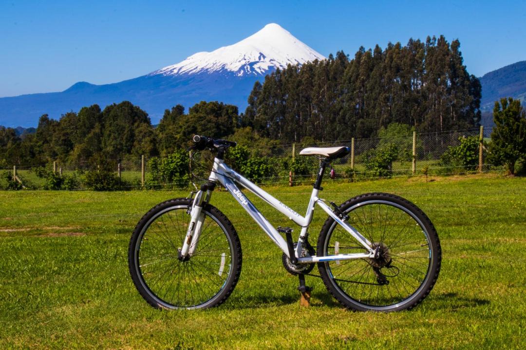 Photo of Others in Puerto Varas