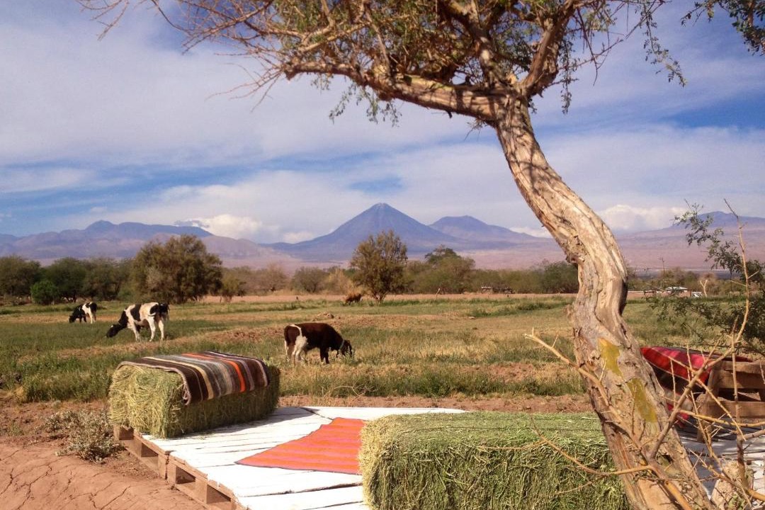 Photo of Others in San Pedro de Atacama