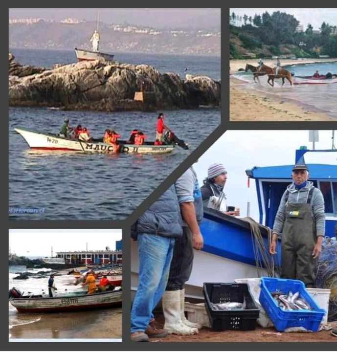 Photo of Human In Picture in Caleta Horcon