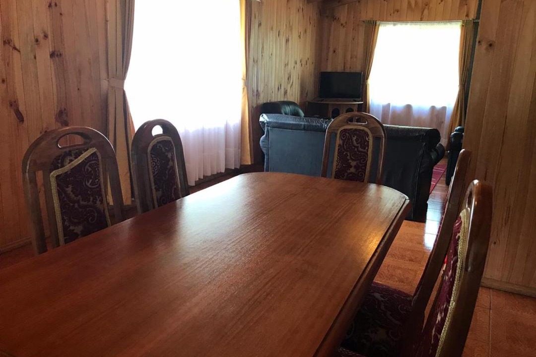 Photo of Livingroom in Pucon
