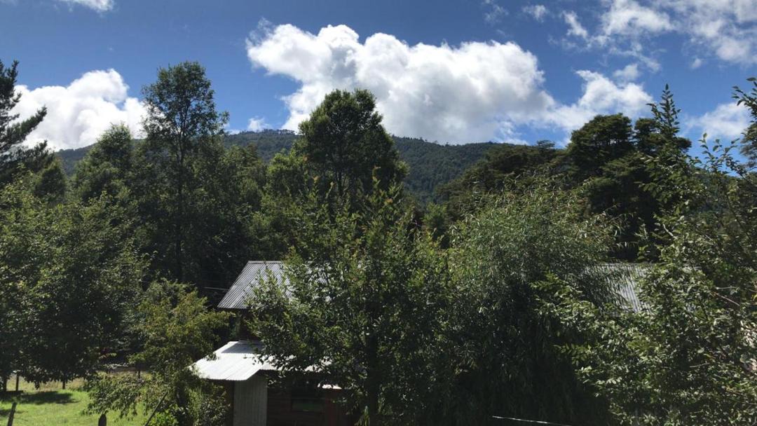 Photo of Outdoor in Pucon