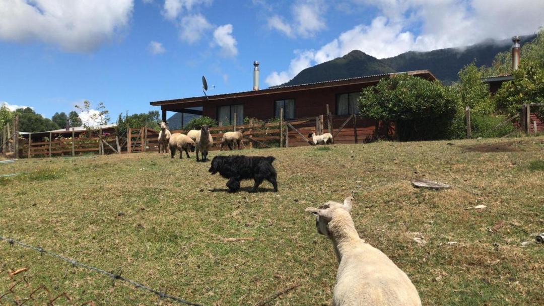 Photo of Buildings in Pucon