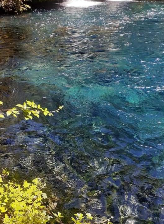 Photo of Outdoor in Pucon