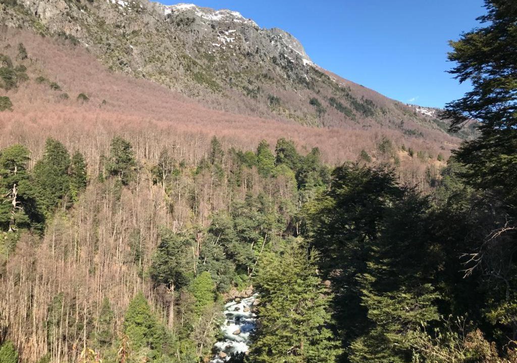 Photo of Outdoor in Pucon