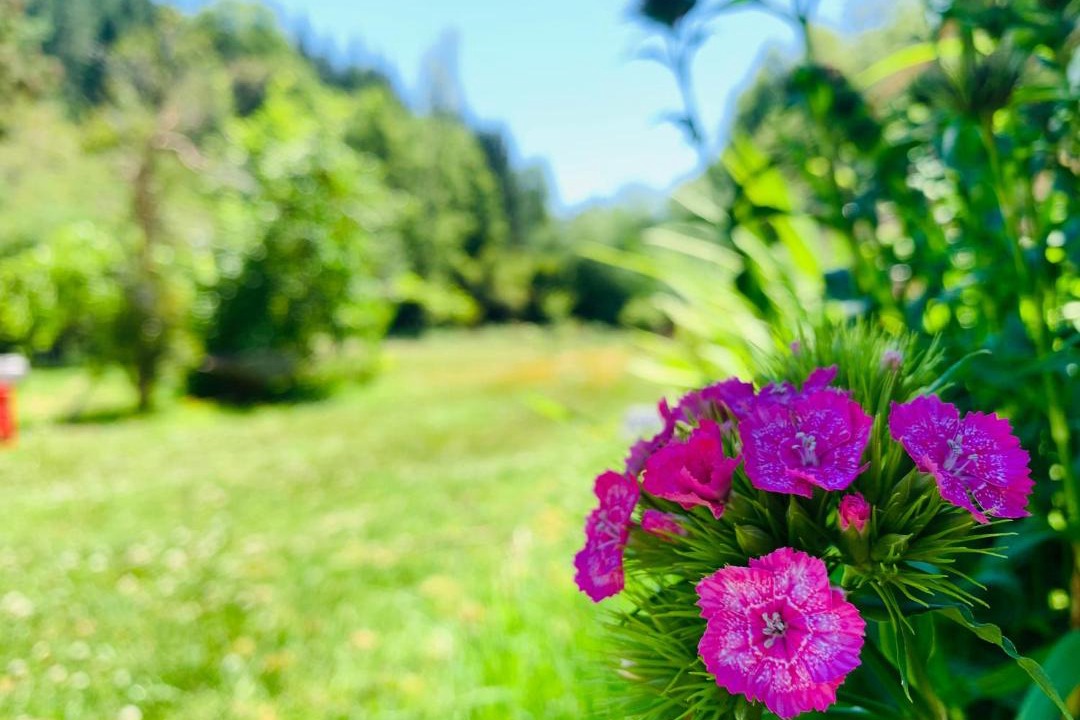 Photo of Outdoor in Pucon