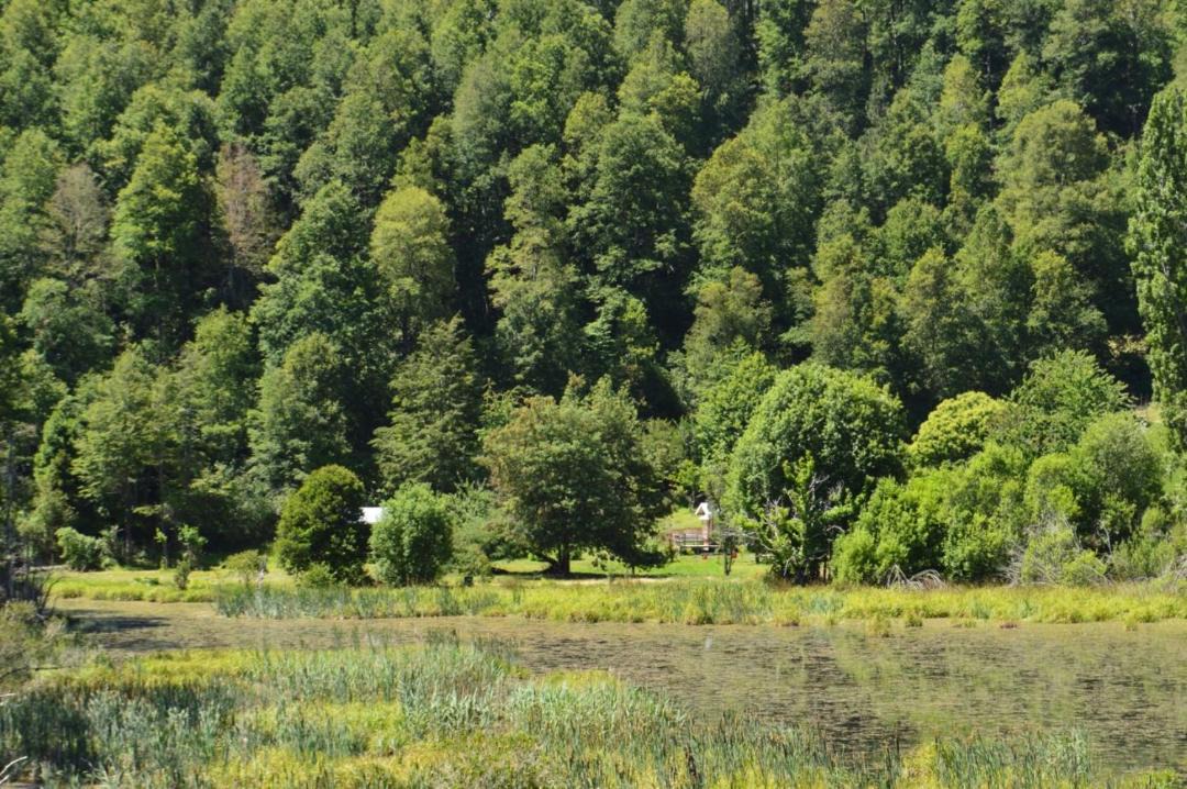 Photo of Others in Pucon