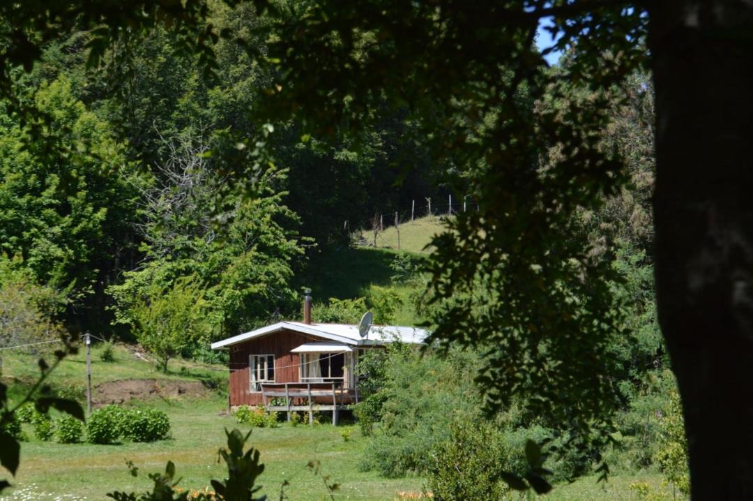 Photo of Others in Pucon