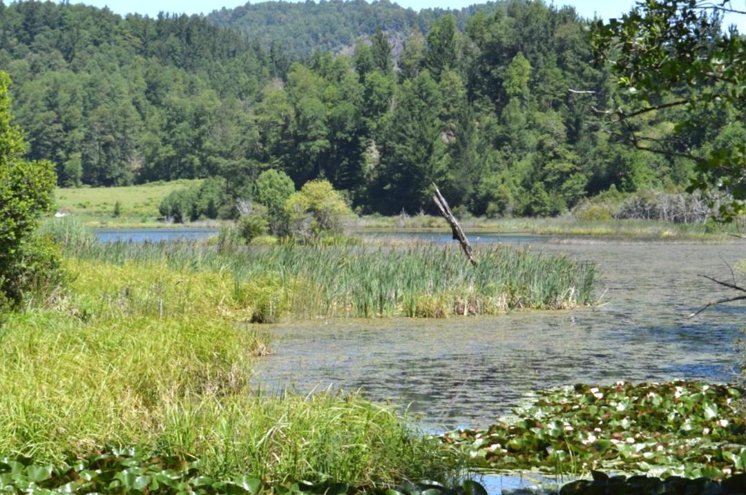 Photo of Outdoor in Pucon