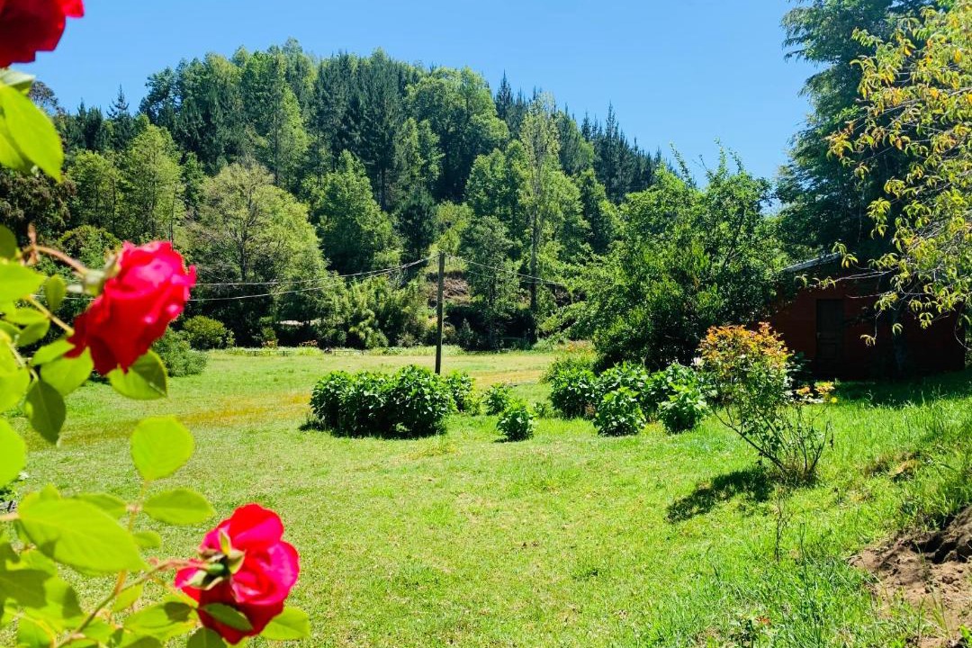Photo of Outdoor in Pucon