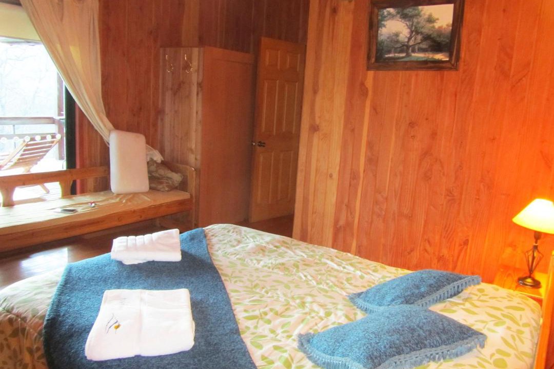 Photo of Bedroom in Pucon