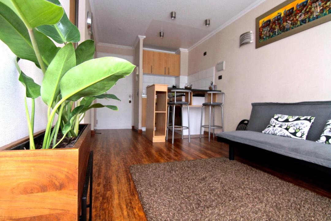 Photo of Livingroom in Cavancha