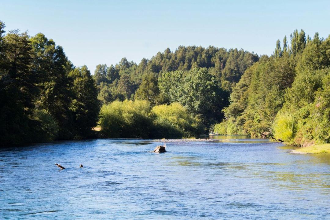 Photo of Outdoor in Pucon