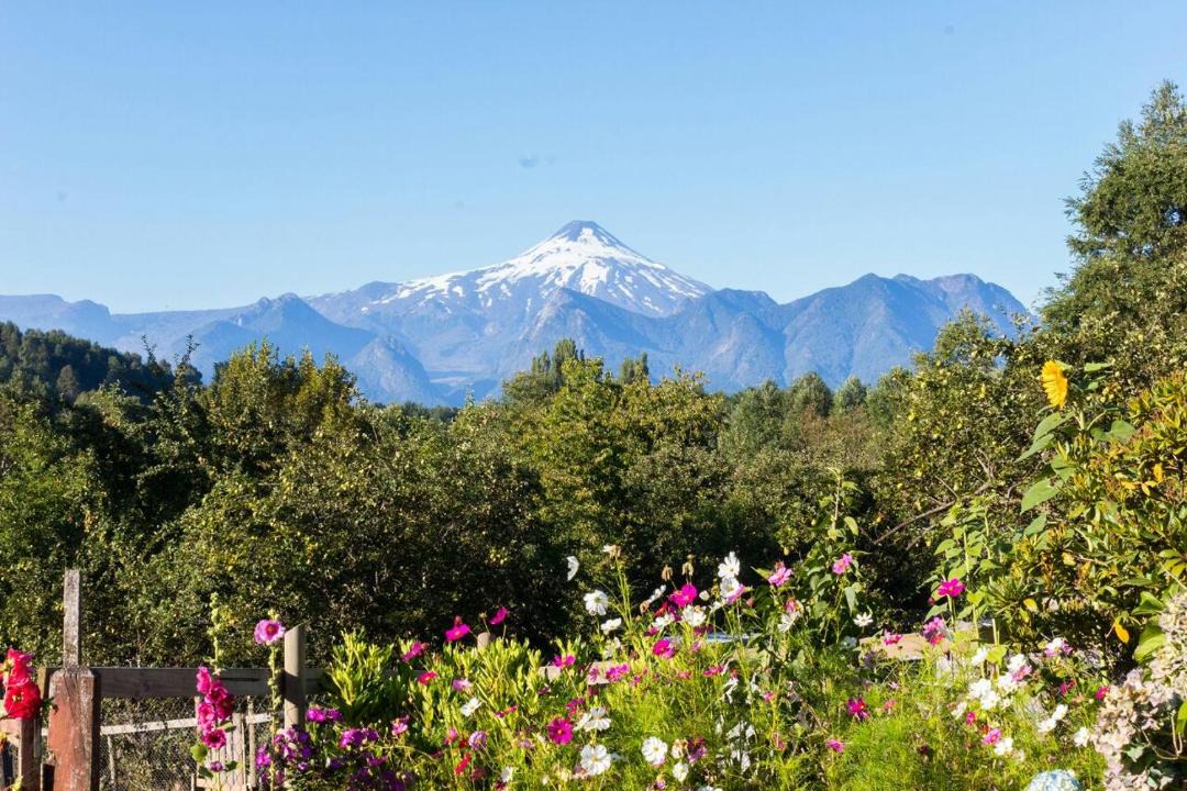 Photo of Outdoor in Pucon