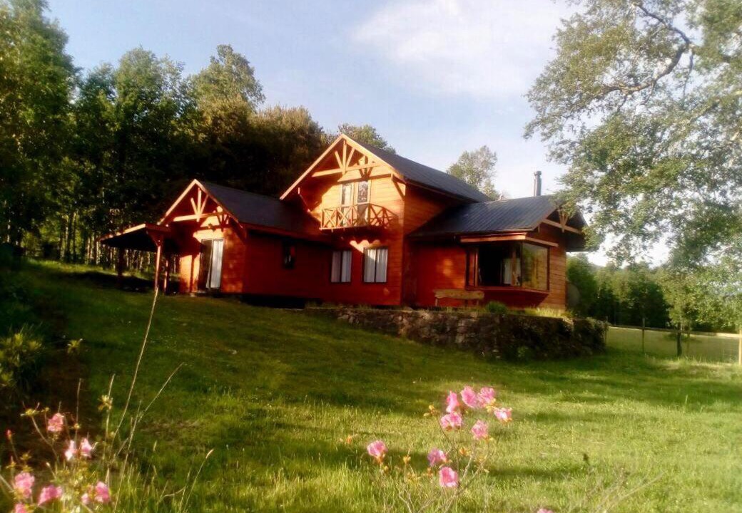 Photo of Buildings in Pucon