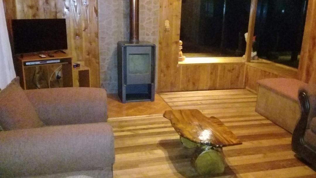 Photo of Livingroom in Pucon