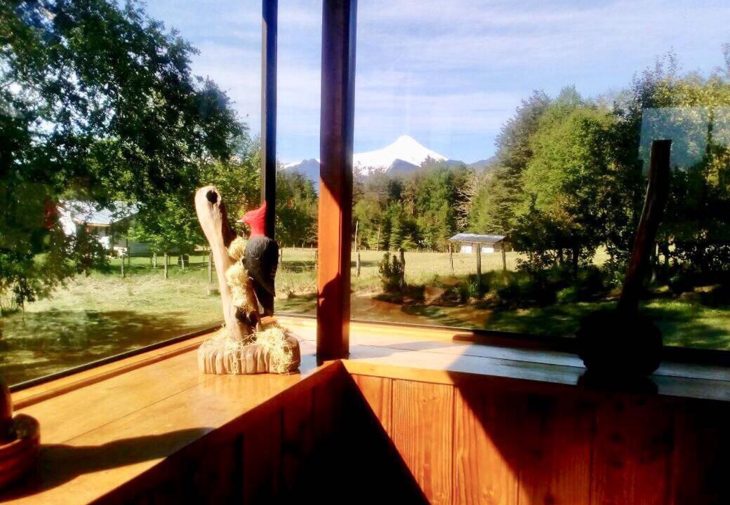 Photo of Others in Pucon