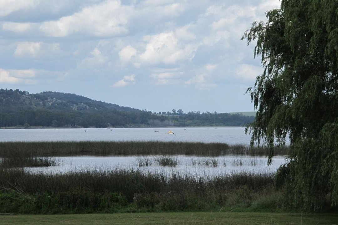 Photo of Others in Laguna Brava