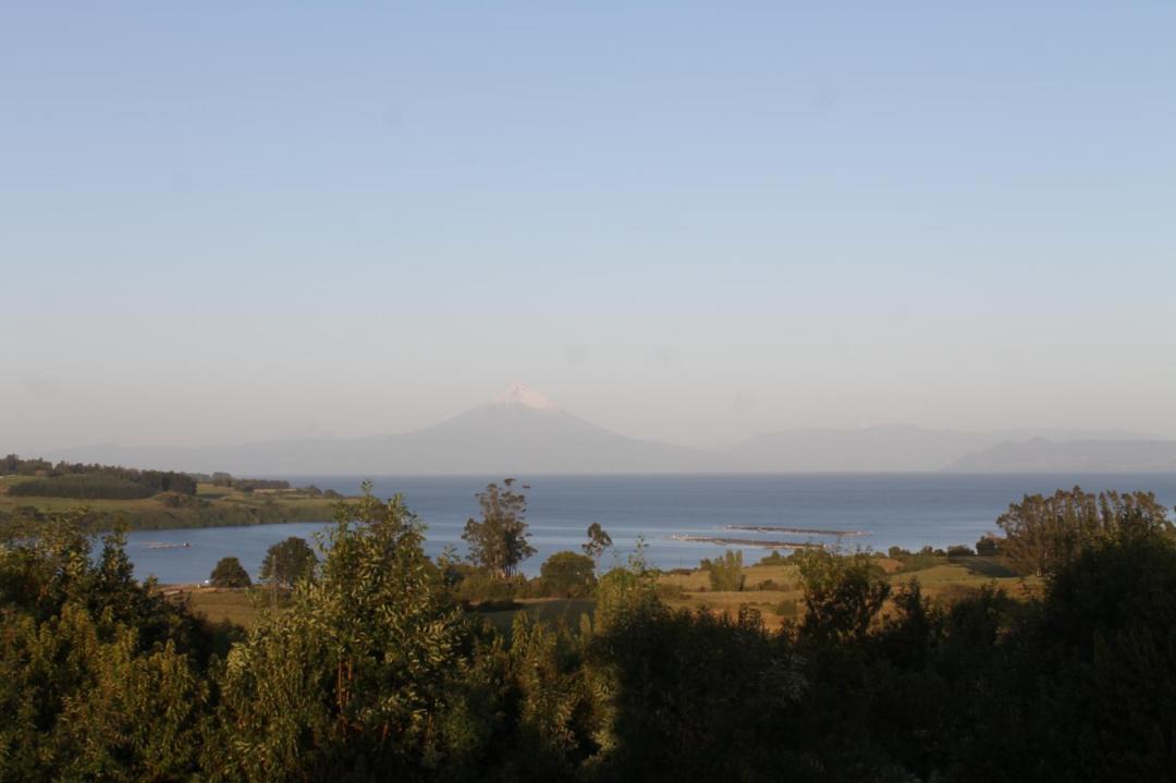 Photo of Others in Llanquihue