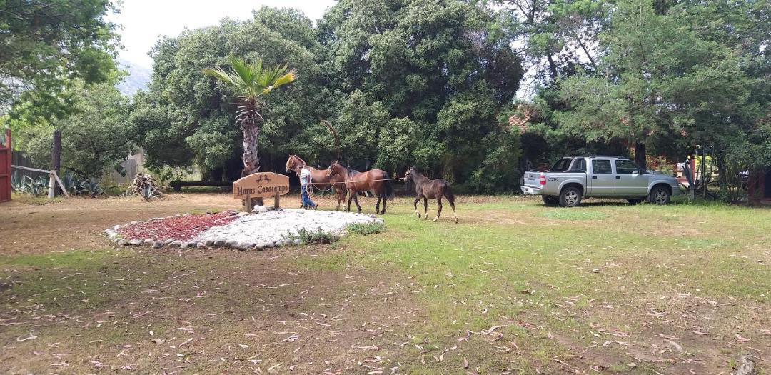 Photo of Outdoor in Quintero