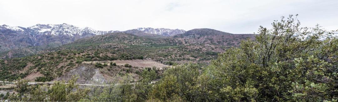 Photo of Others in El Ingenio