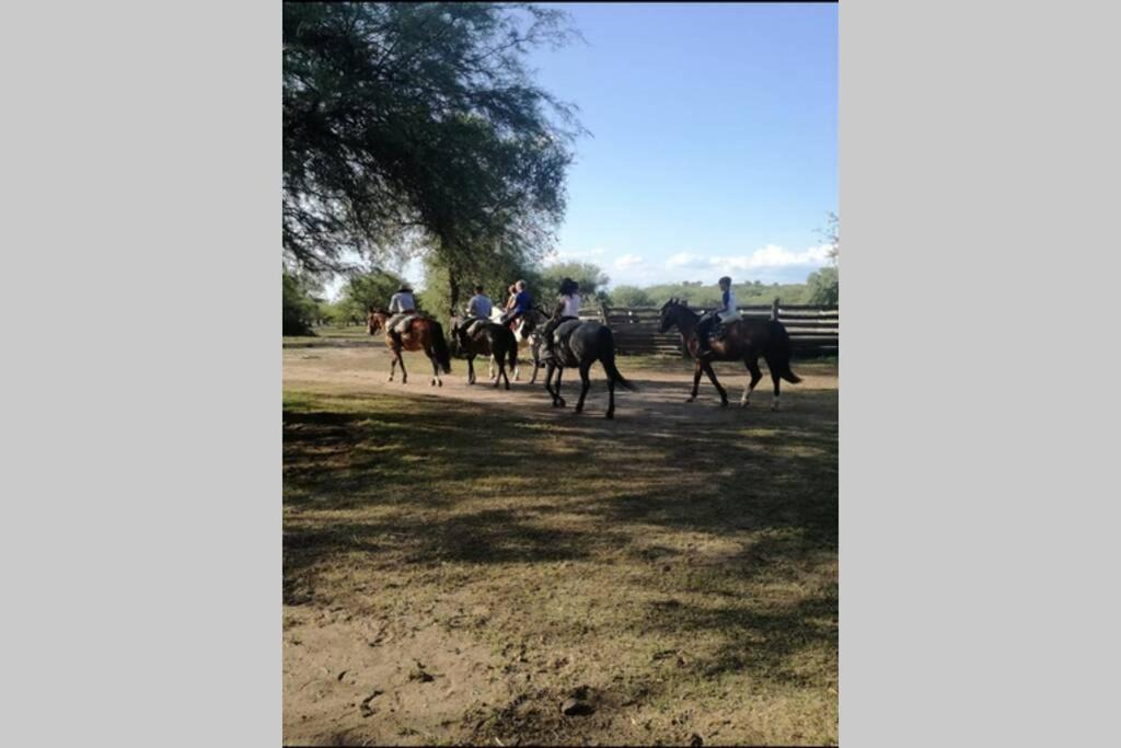 Photo of Others in San Javier