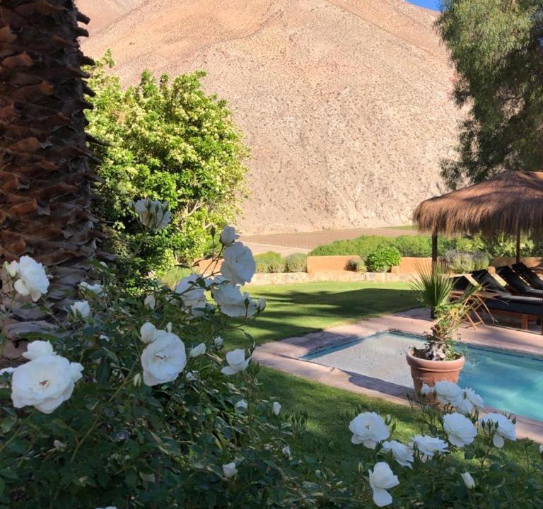 Photo of Others in Pisco Elqui