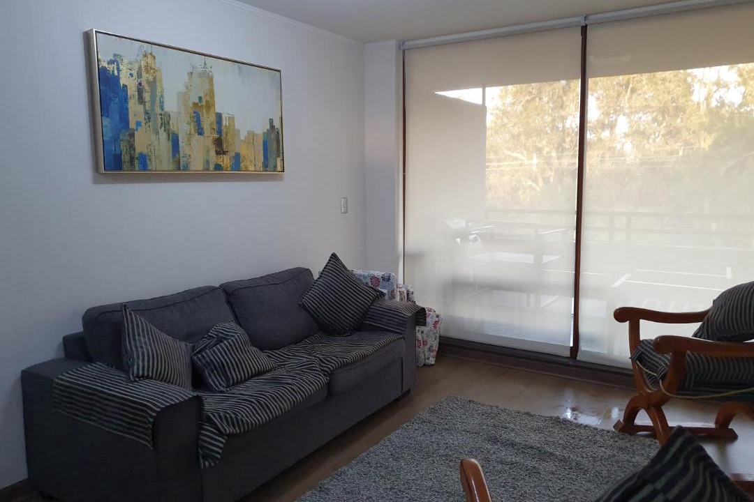 Photo of Livingroom in Pucon