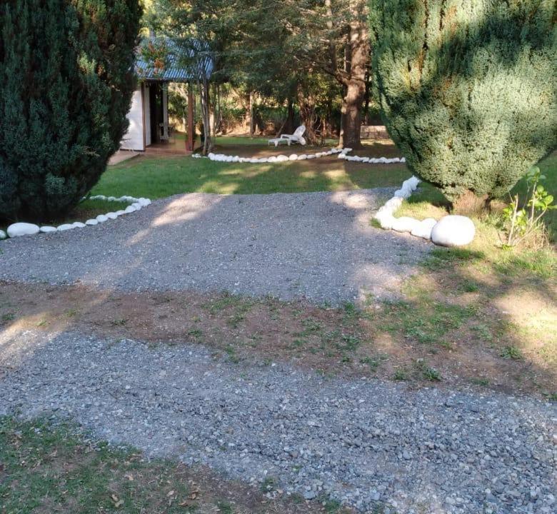 Photo of Others in Pucon