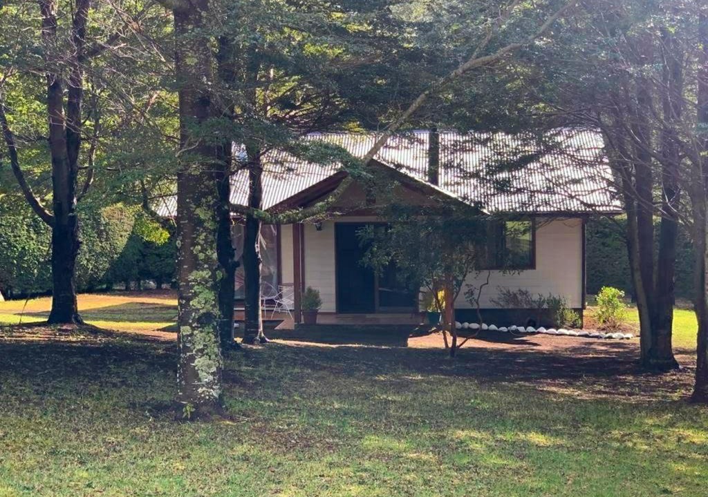 Photo of Others in Pucon