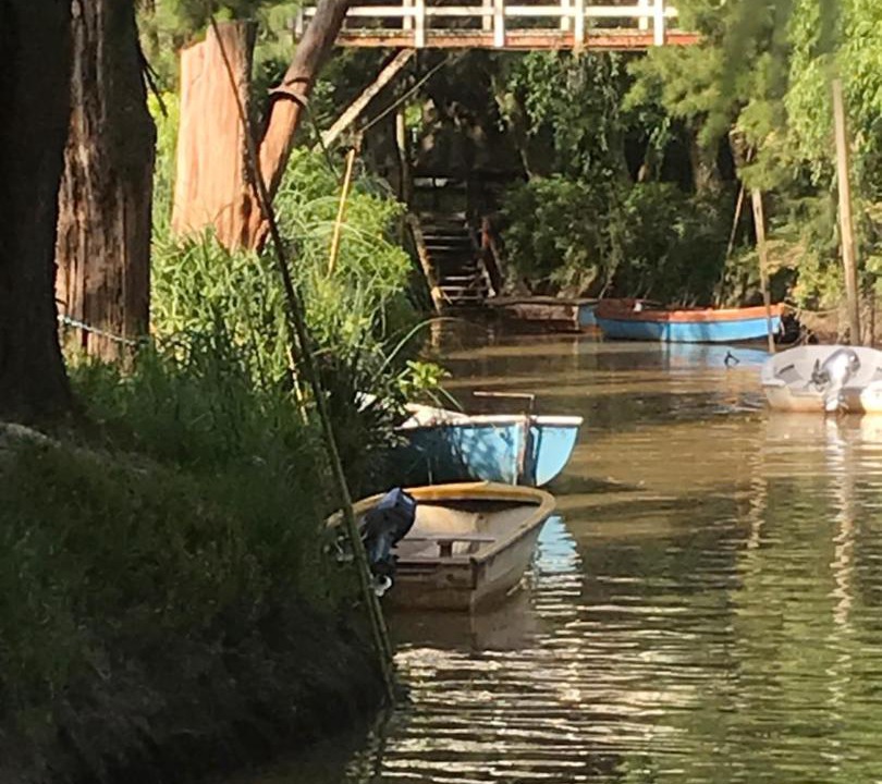 Photo of Others in Tigre