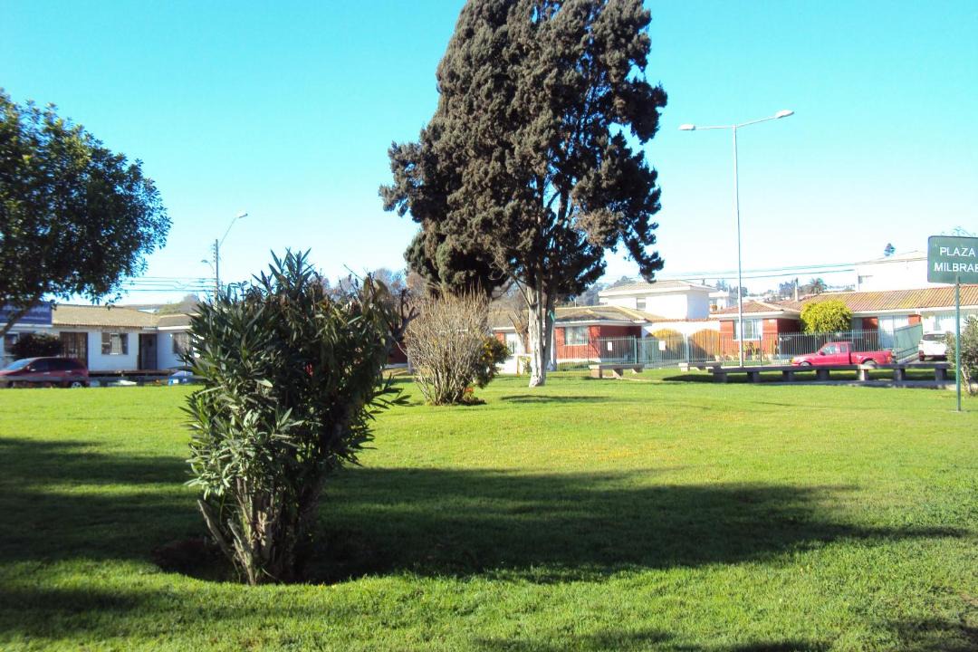 Photo of Others in La Serena