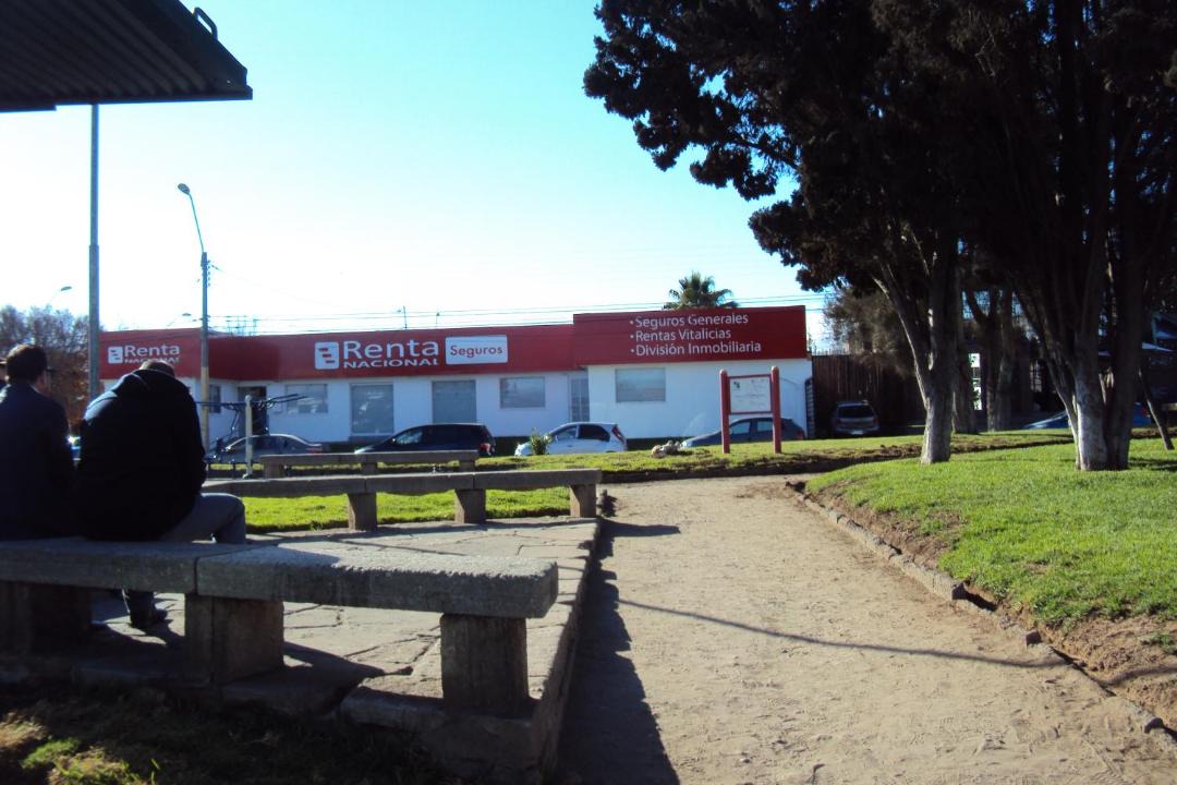 Photo of Others in La Serena