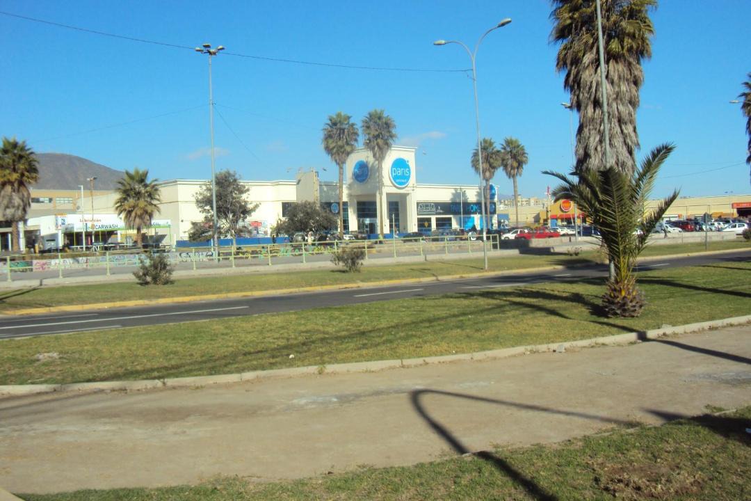 Photo of Others in La Serena