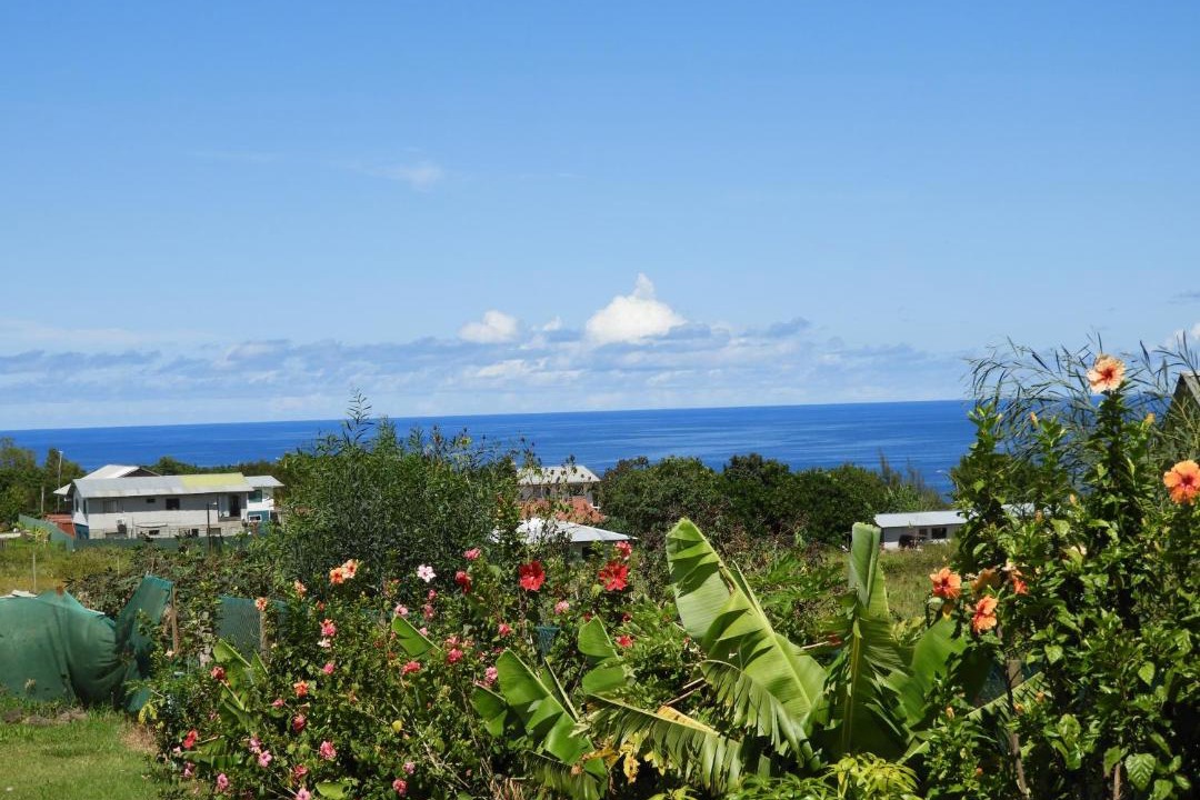 Photo of Others in Hanga Roa