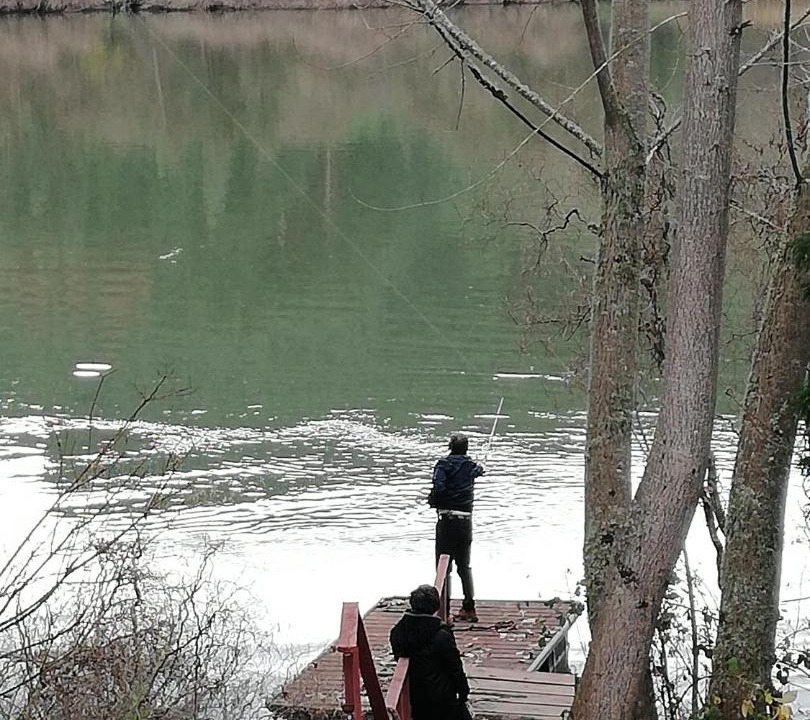 Photo of Others in Carahue
